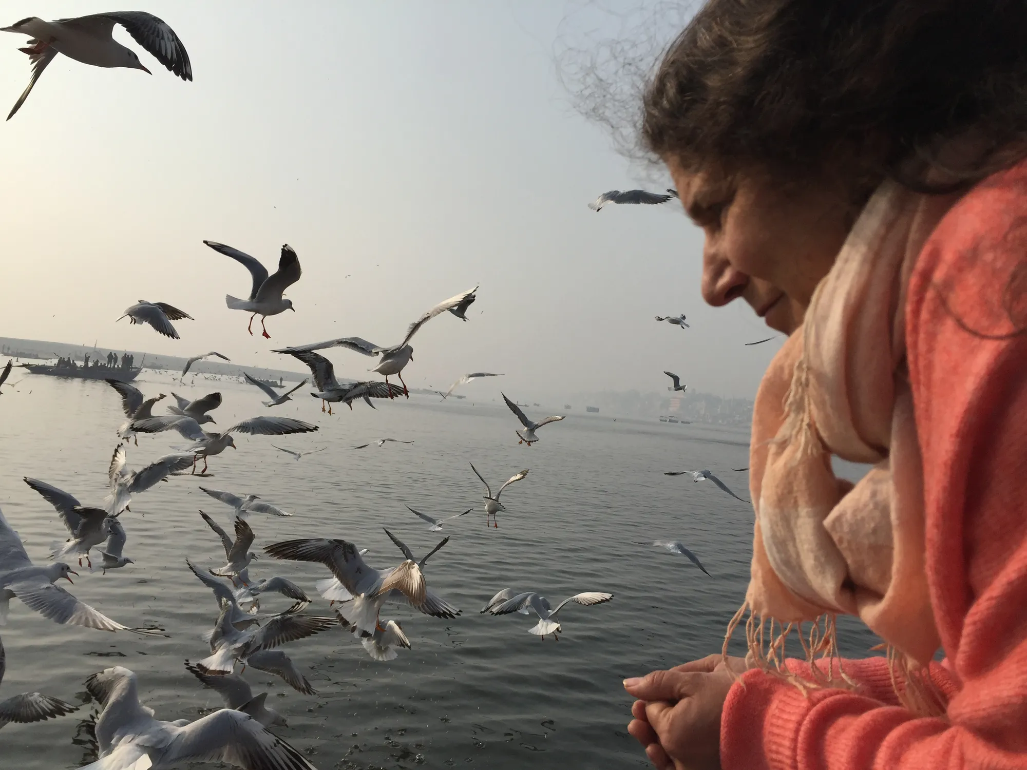 Mataji Shaktiananda contemplating seagulls over the river