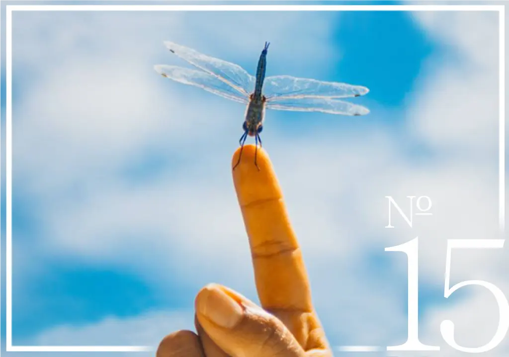 Editorial| Newsletter Nº15 | El Gen que Genera Septiembre 2017