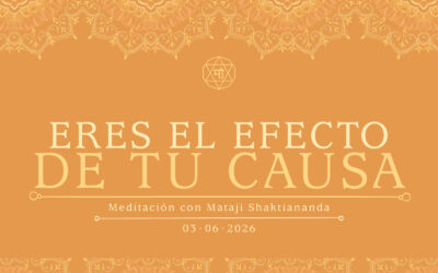 Eres el efecto de tu causa